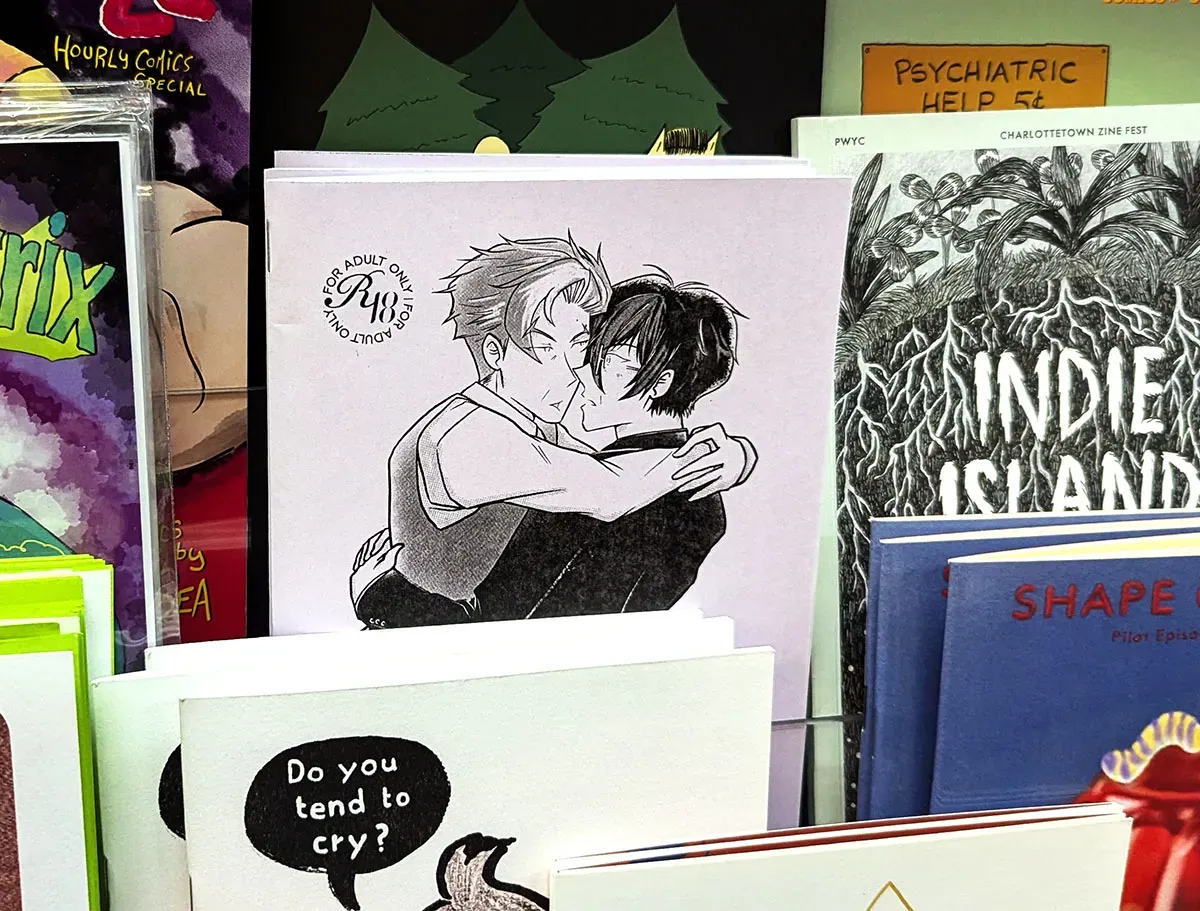 A copy of Days Gone By sits on a shelf with other zines